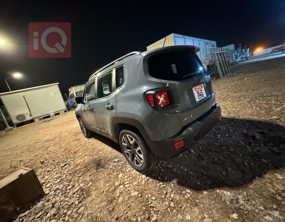 جيب رينيجيد